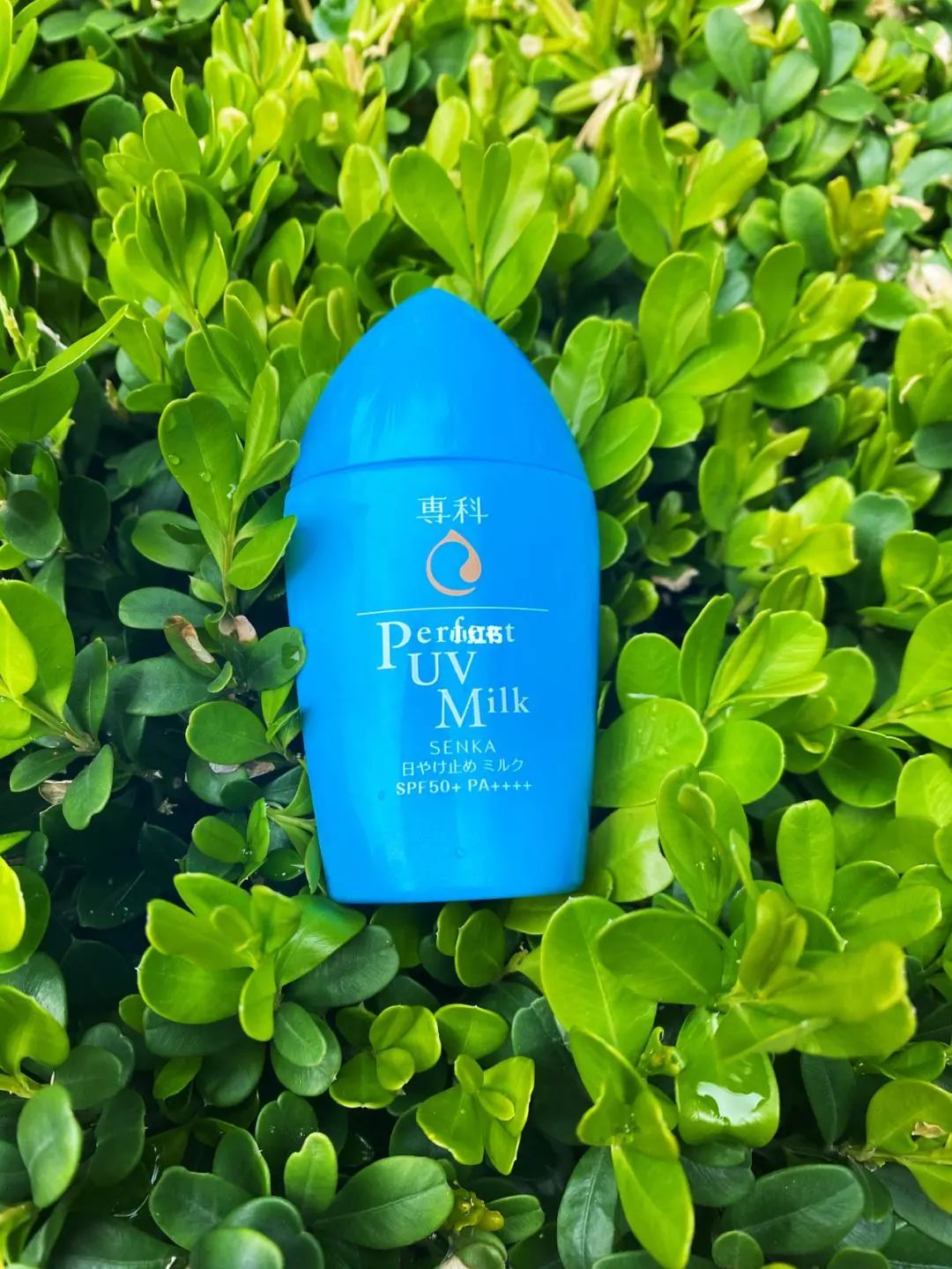 消费降级降得是数量还是质量,消费降级幸福感倍增