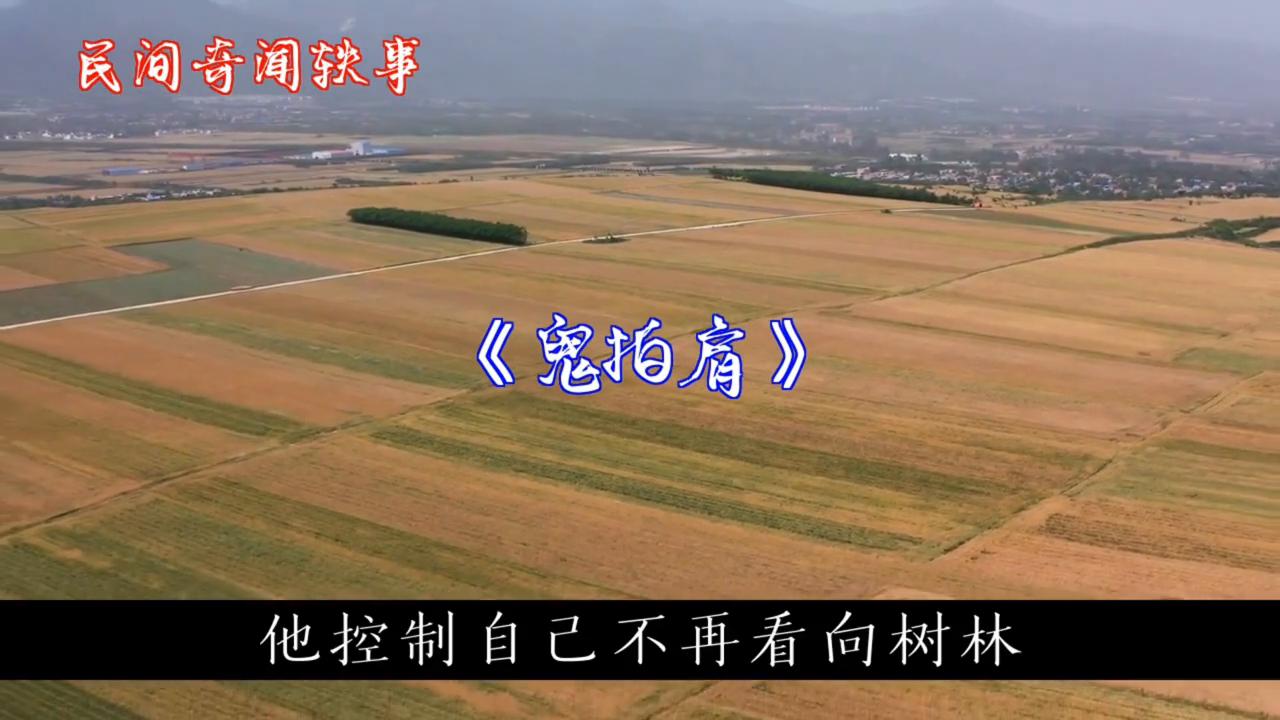 奇闻鬼异事,奇闻奇事鬼视频