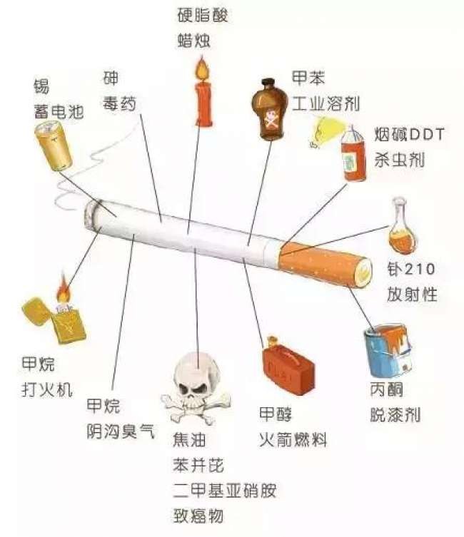 烟盒没有编码是不是假烟,整条烟的保质期在包装上怎样查看