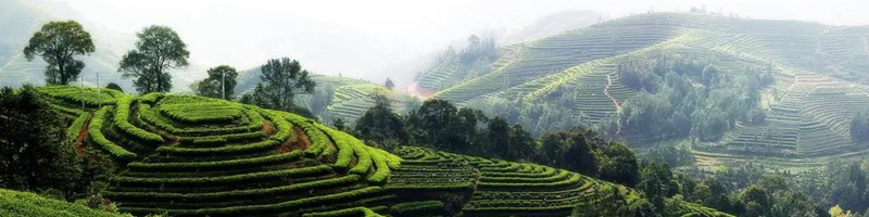 20世纪发生的大规模杀人事件,欧洲抢劫案真实案例