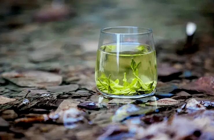 #草木有趣·谷雨茶|​且招邻院客，试煮落花泉