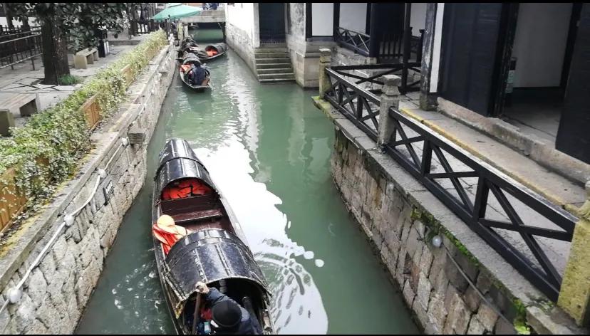 鲁迅故里旁的塔山花鸟市场,鲁迅故里附近酒店