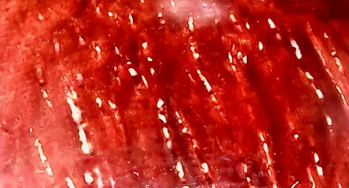 比较具有收藏价值的木质手串,最值得收藏的木质手串有哪些