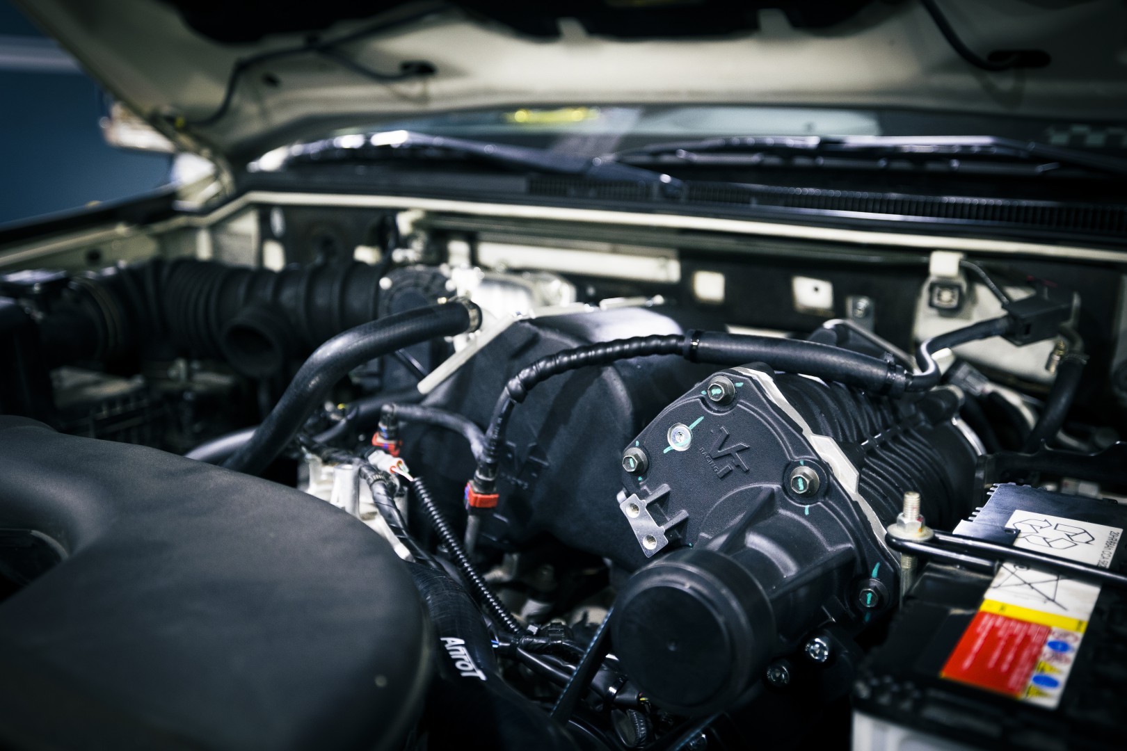 瑕疵山猫帕杰罗,山猫帕杰罗骨子里的傲气