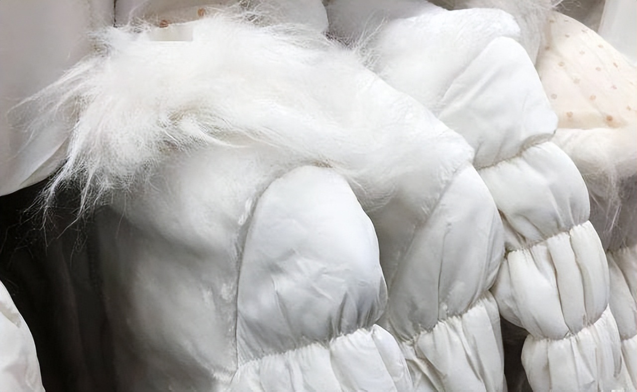 辽宁女子花6400元买羽绒服却无法退货，淘宝客服：商家保证金不足