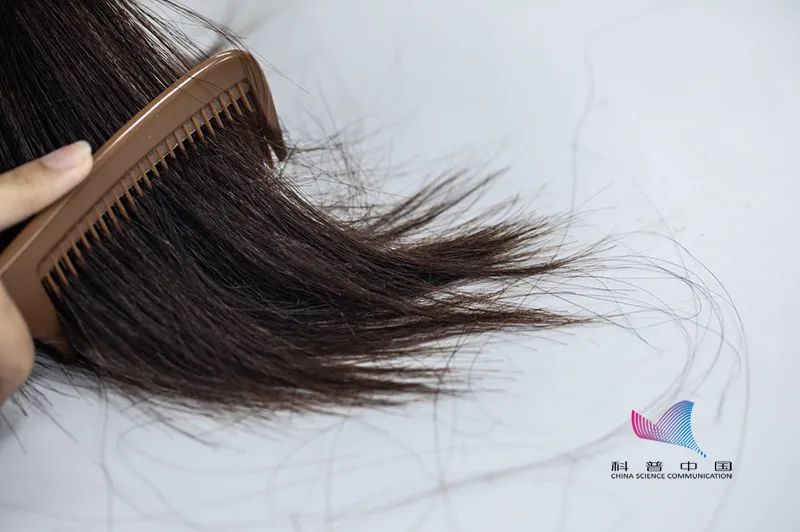 为什么用护发素反而头发掉得多,护发素有什么成分用了会秃头