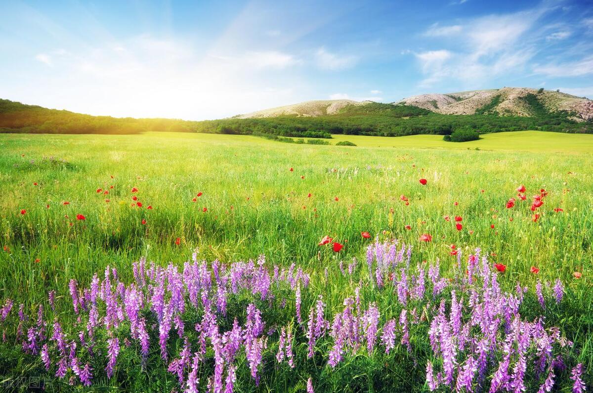 赌博30万以上金额怎么判,帮赌博做财务判多久