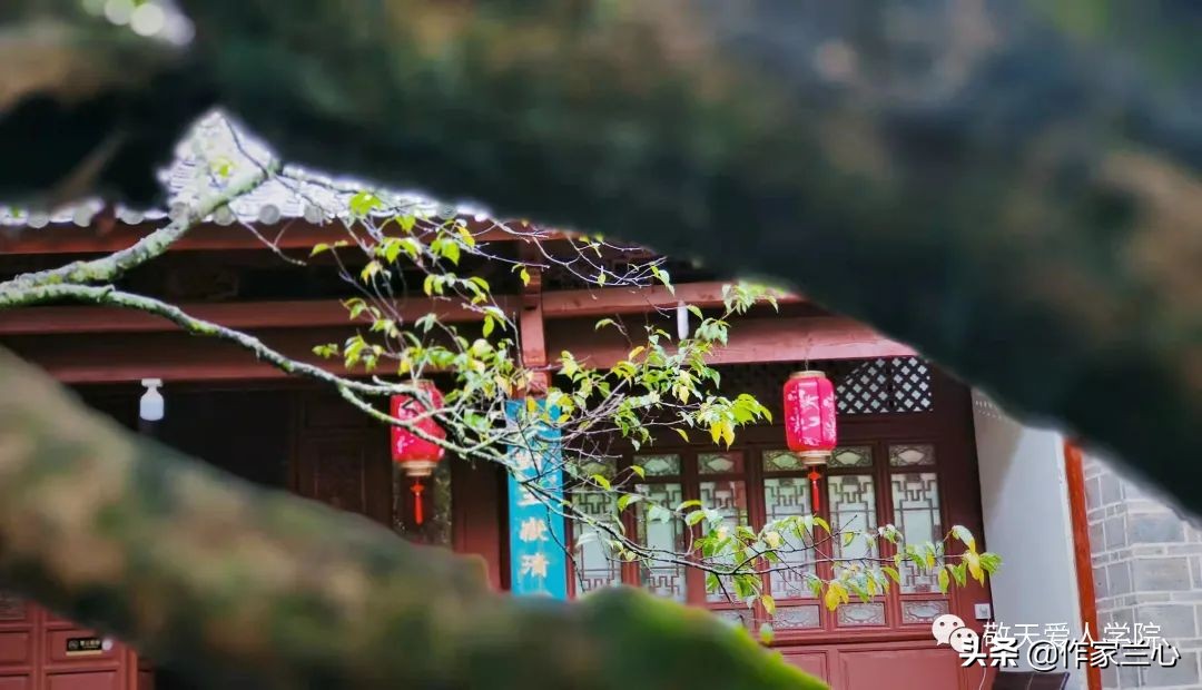 万一龙：以高维智慧，布世间大爱