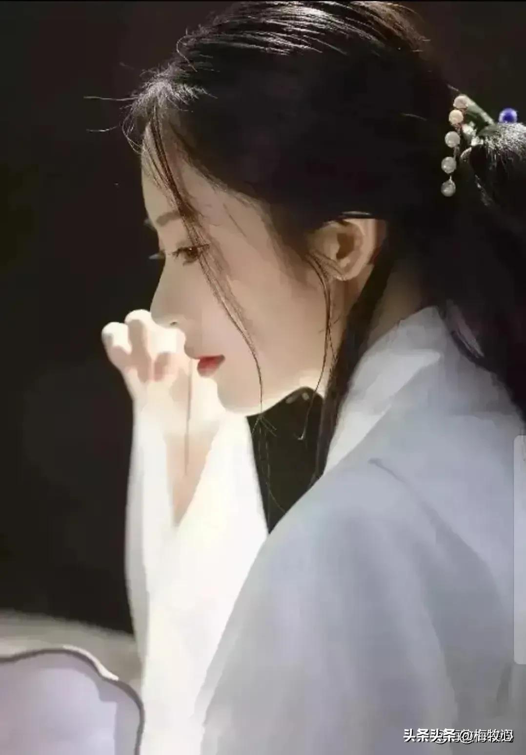 紫石金麟|咏梅七律三十韵②（二叠韵合集）