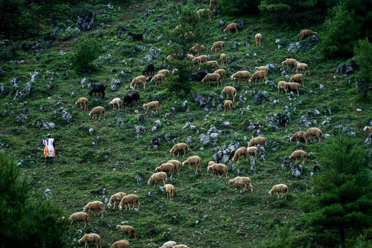 昆明是一个不想离开的城市,昆明是一座来了就不想离开的城市