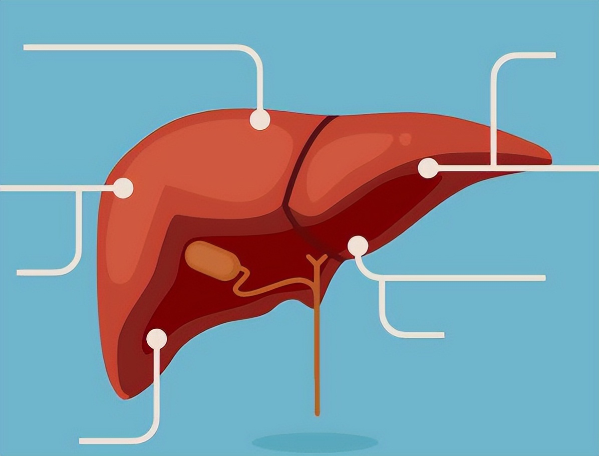鸡蛋黄最多可以吃几个,鸡蛋黄每天最多能吃几个