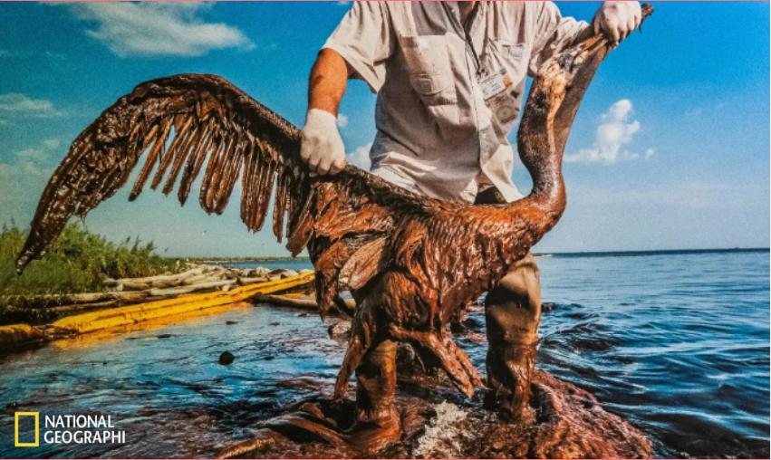 跨越130年的时空对话,来这里看一看粤语怎么说