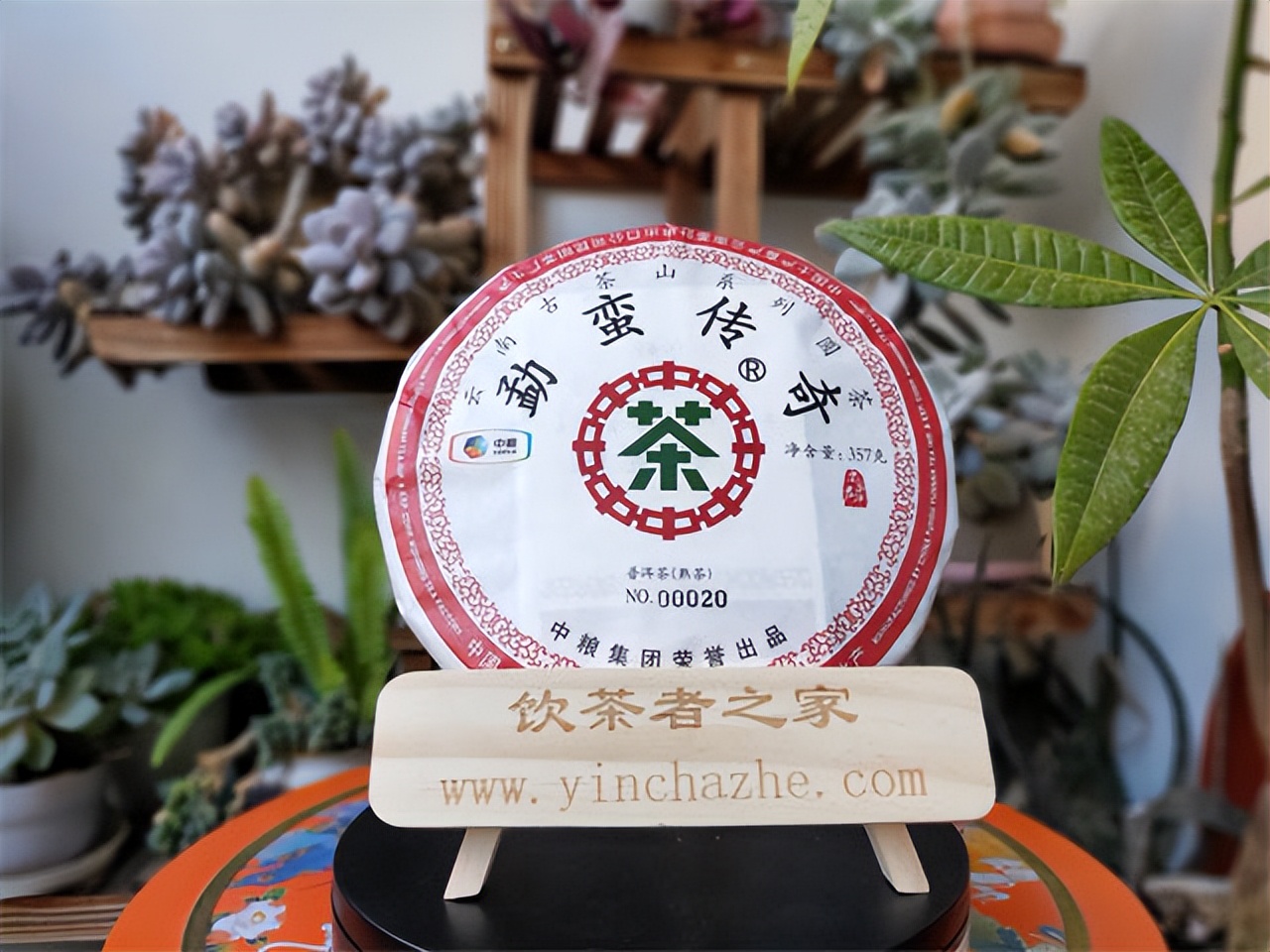 普洱茶的基础知识大全图解,普洱茶入门知识总结大全