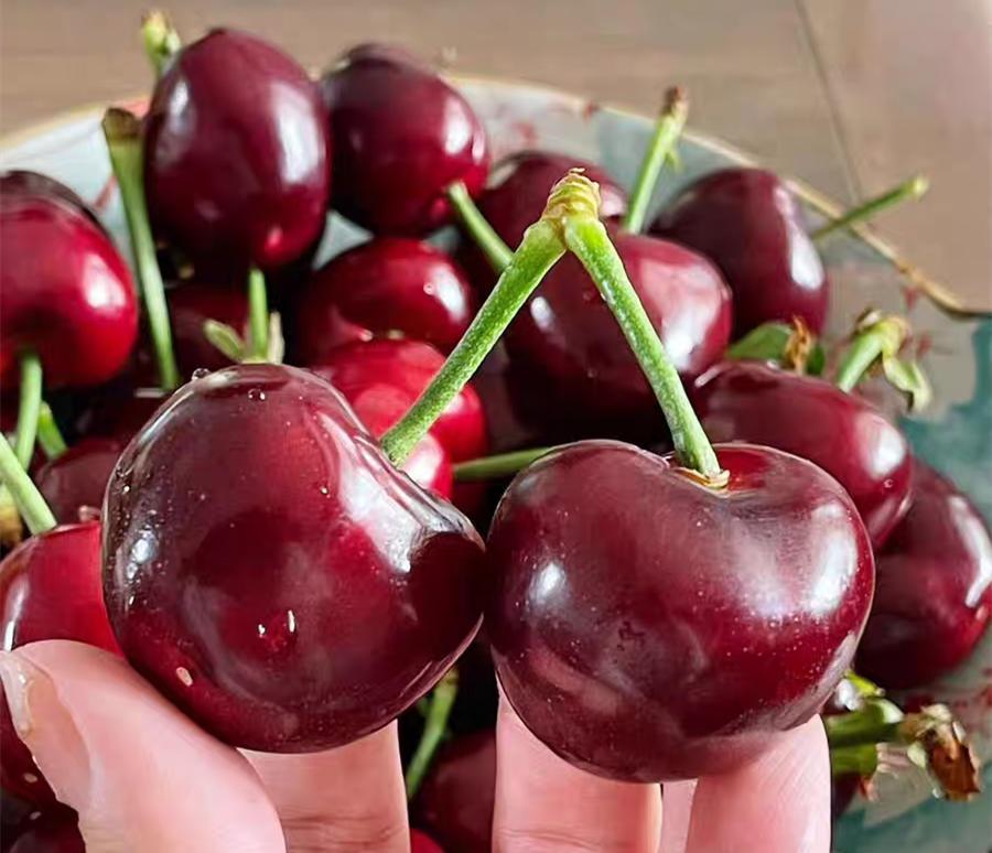 紧急提醒这种水果千万别吃,这种水果大量上市千万也别吃多