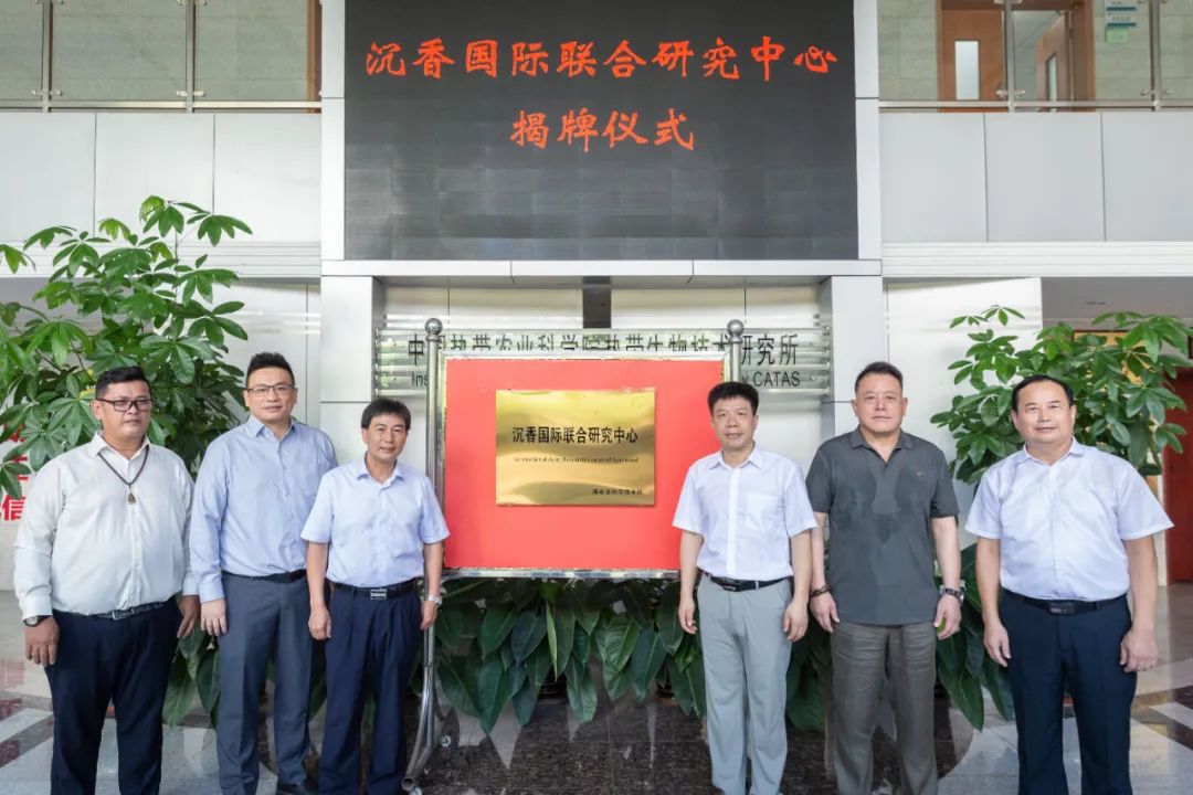 娌夐鍥介檯,娌夐鐮斿彂涓績