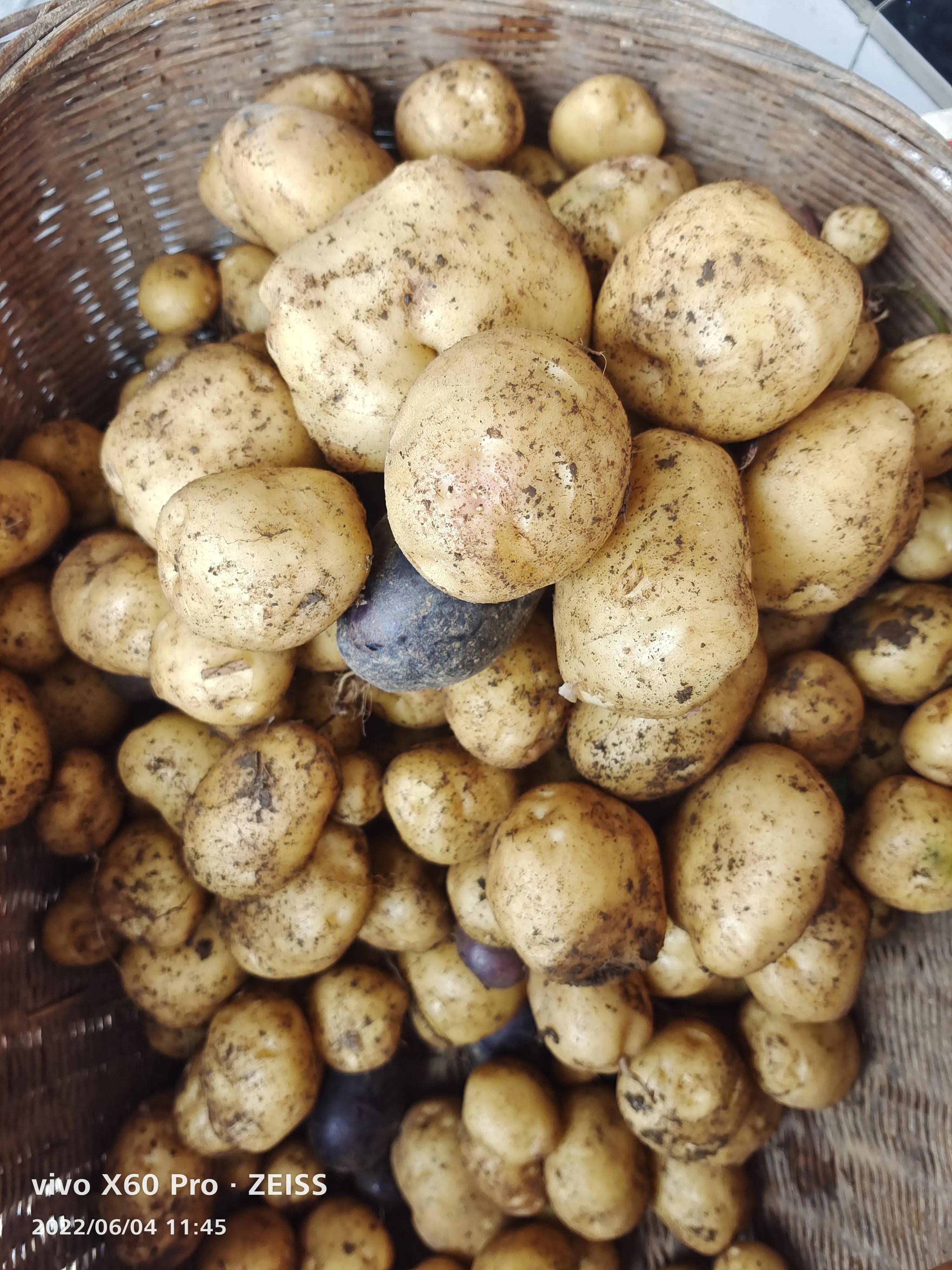 疏影日记之忠实记录生活6.5