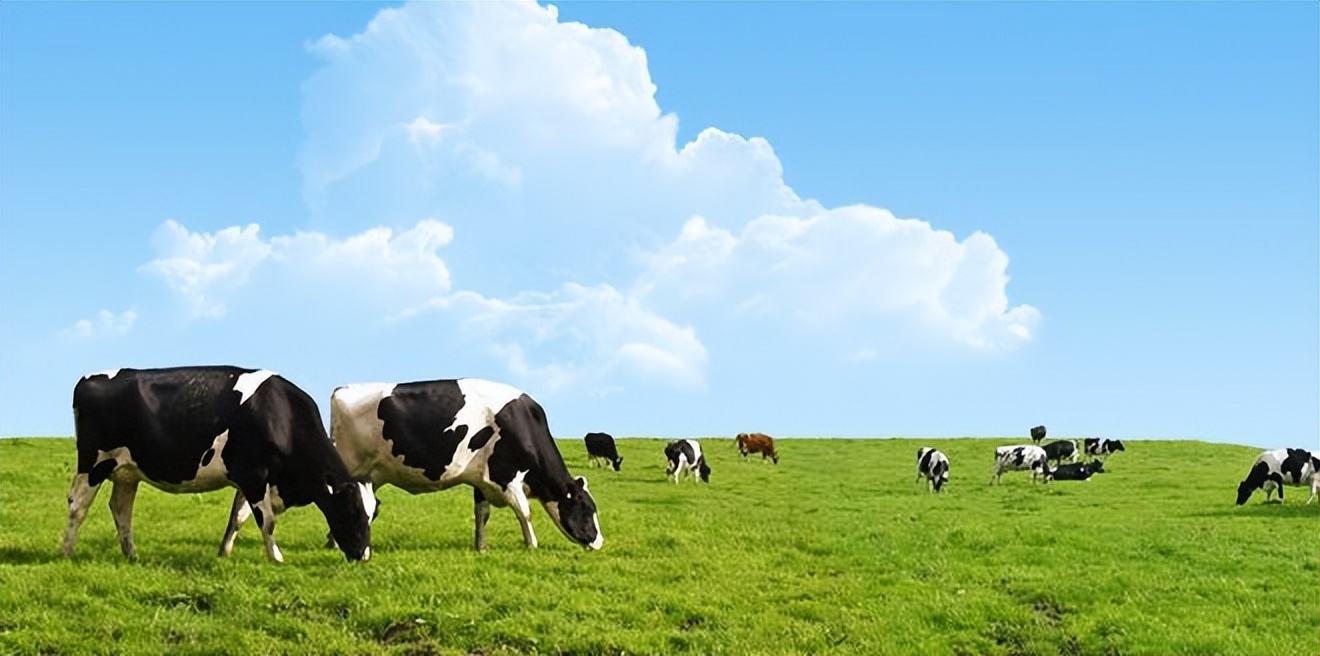 az全球购公司,az全球购创始人