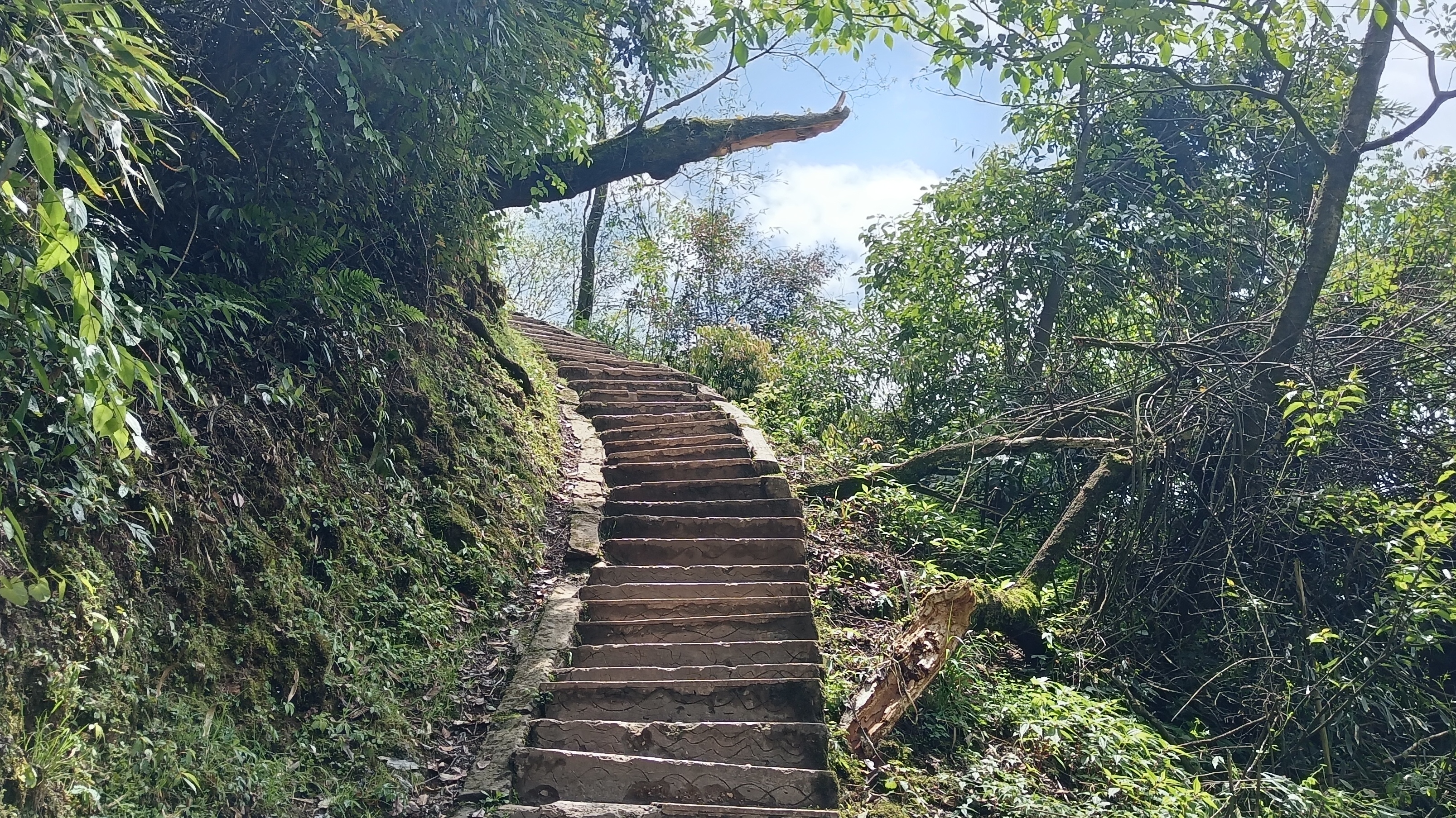 去成都青城山后山攻略,青城后山成都攻略