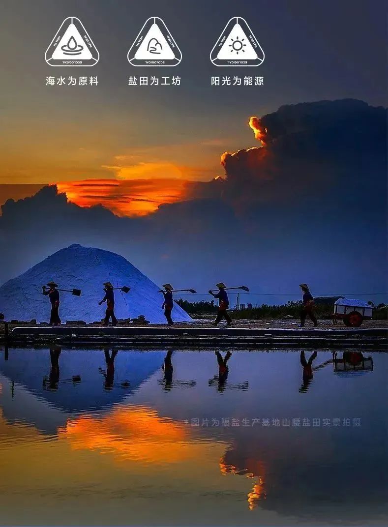 从一粒海盐解读盐工背后的劳动“秘密”