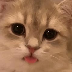 早秋怎么穿有这一套就够迷人了,早秋非常适合穿着的一套