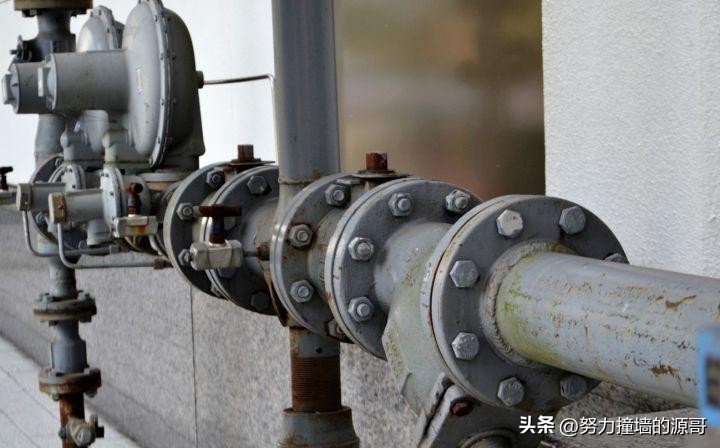 净水壶家用滤水壶哪款好,购买净水器的人群