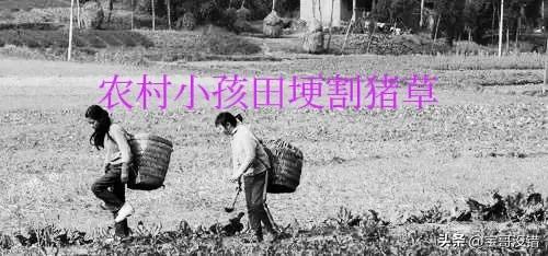 父亲的家（六）父（母）亲节致敬我的父（母）亲！