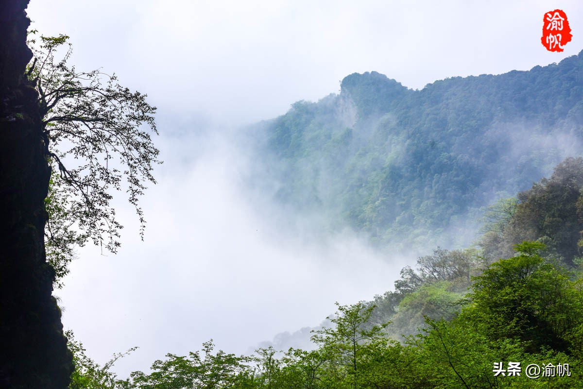 重庆的热门风景好的山,重庆哪座山最适合看城区风景