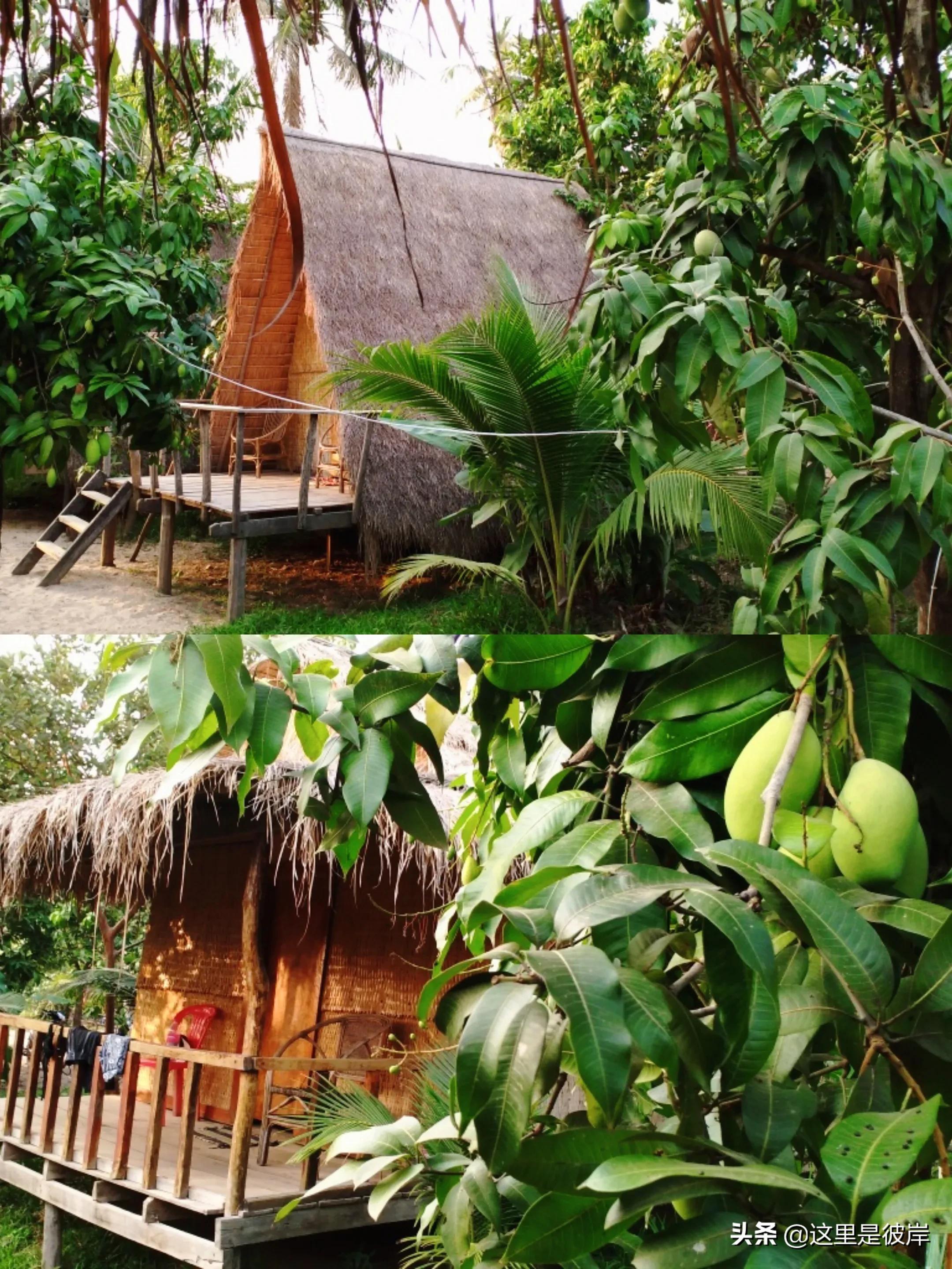 住过的最印象深刻的青旅,贡布旅游攻略大全