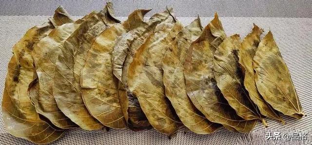 写给漂泊在外游子的话,有钱没钱回家过年语句