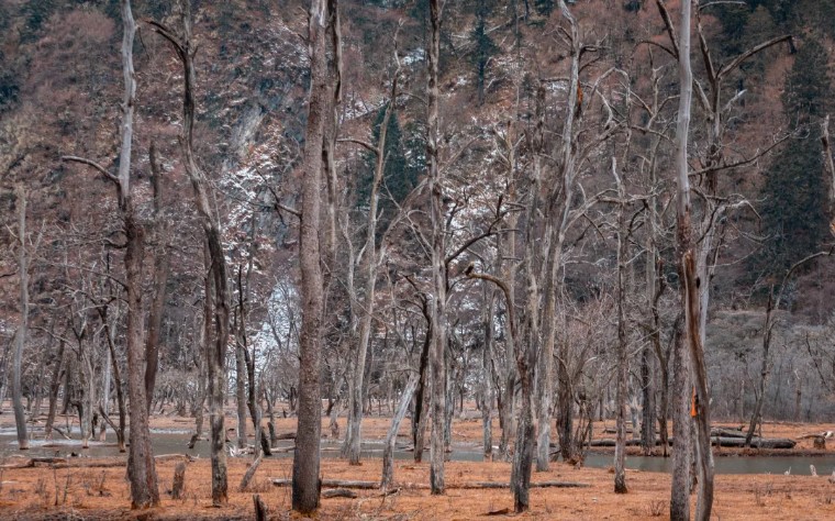 贡嘎徒步穿越子梅垭口,子梅垭口看贡嘎雪山蜀山之王