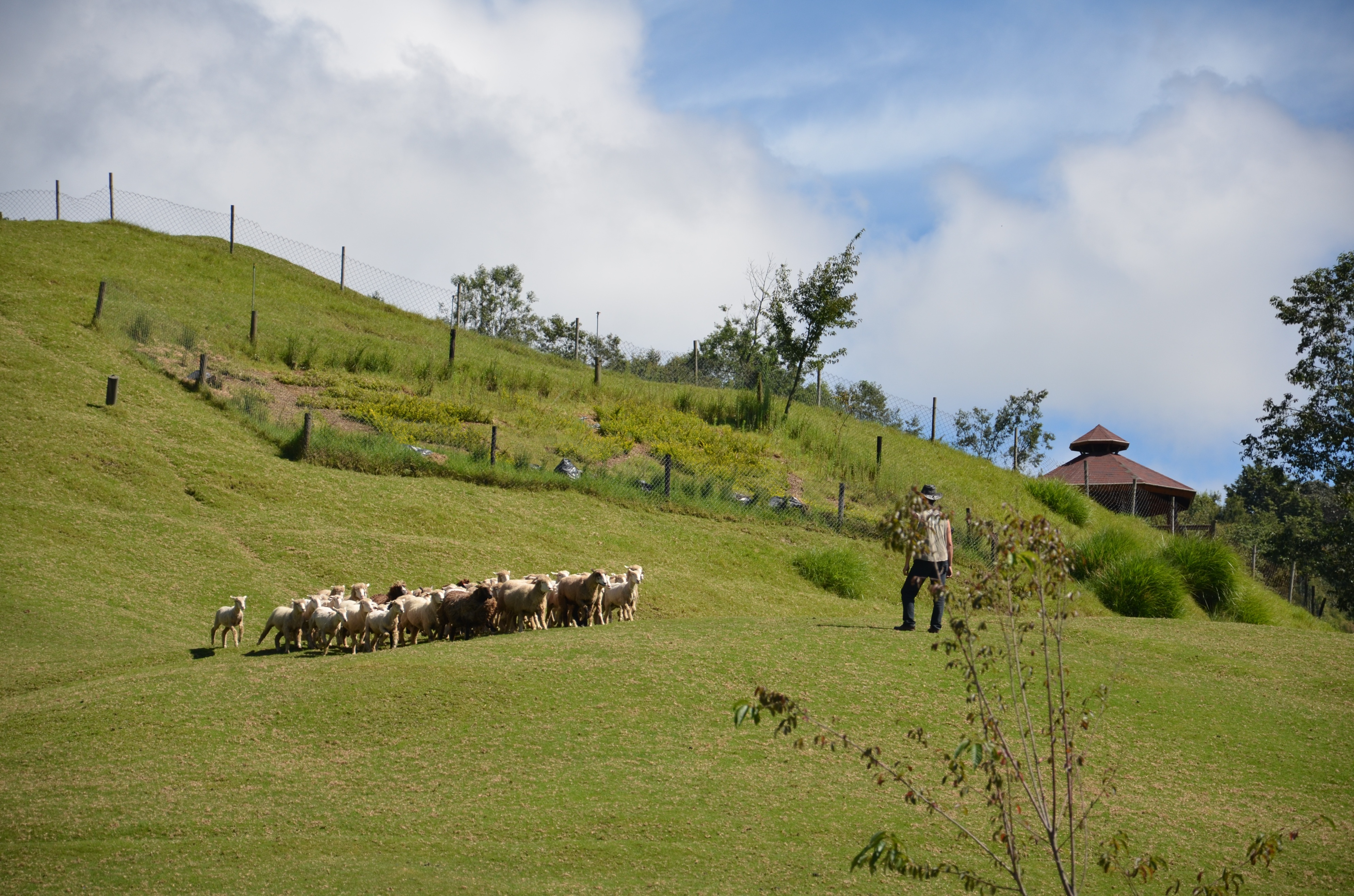 台湾清境农场旅游攻略,台湾旅行记视频