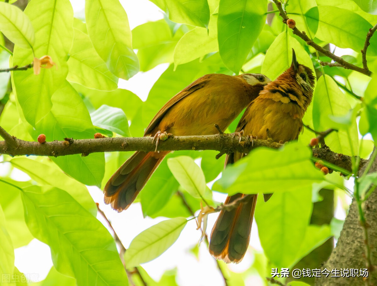人生赚钱副业,人生赚钱商机