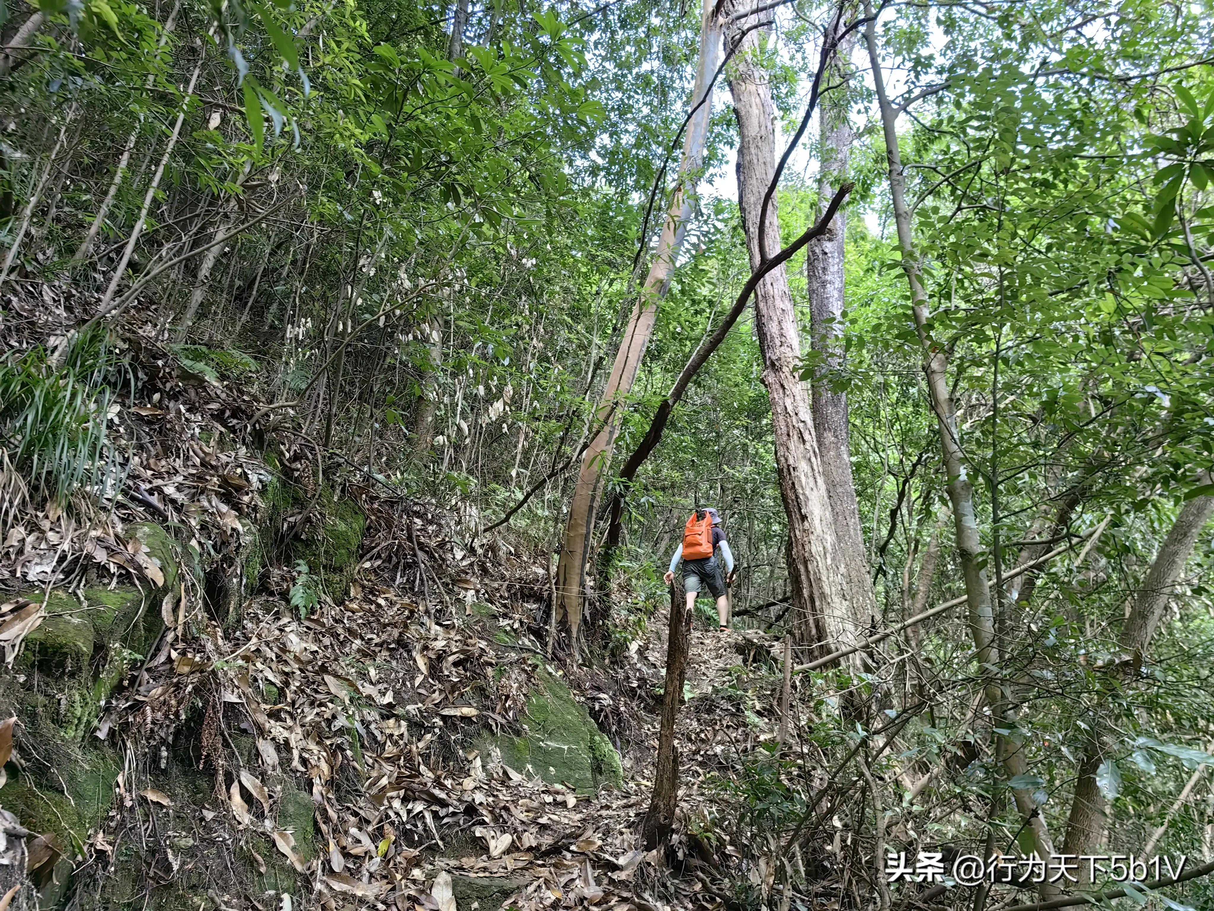 【探秘金紫山下的清凉秘境】行走在资源资江源大峡谷的风景线上