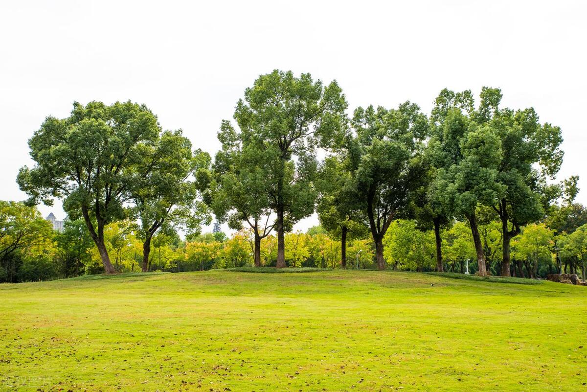 合肥最美公园在哪个区,合肥有哪些公园值得一去