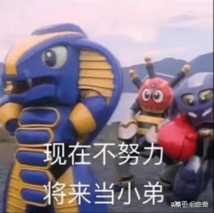 网络直播的主播收入的税收,网络直播收入真的有那么高吗