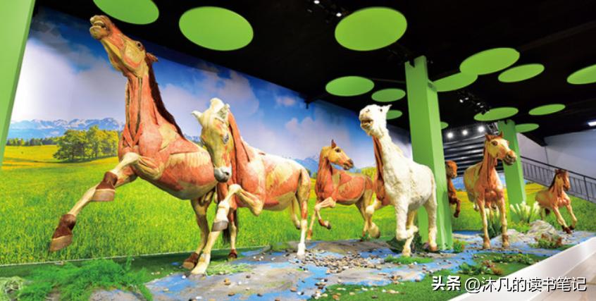 郑州周边适合孩子玩的博物馆,郑州哪个博物馆最值得带孩子去