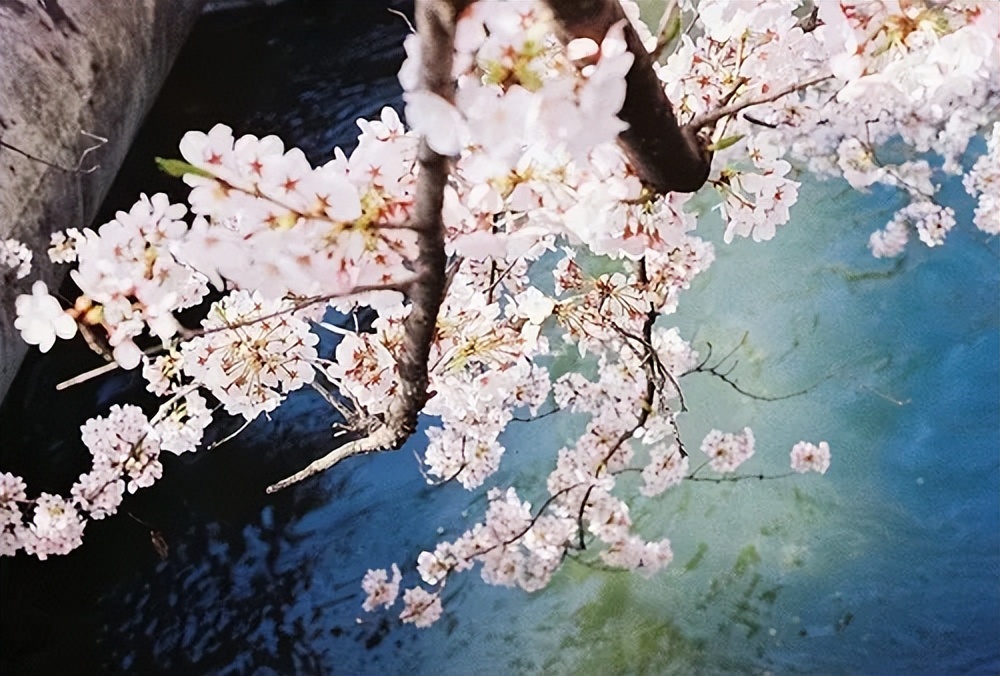 男人对你冷淡时正确的做法,男人对你冷淡了教你两招终身受用