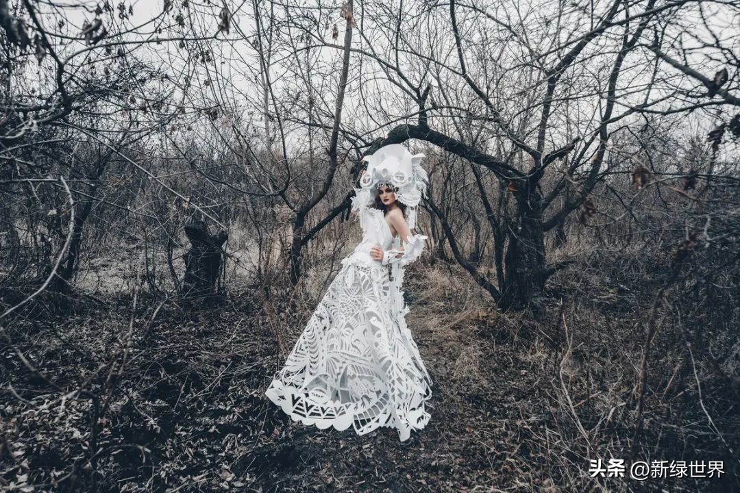 一组纸艺作品,令人惊艳的纸艺作品