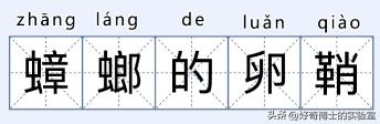 床上小颗粒是什么虫卵,墙上有虫卵很小颗粒
