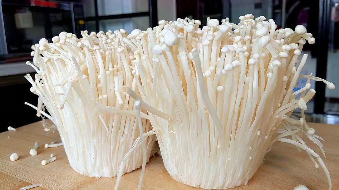 浙江人常吃的蔬菜有哪些,幼儿园常吃的蔬菜有哪些