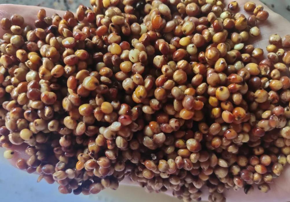 散装白酒纯粮酒为啥便宜,农村的散装白酒好卖吗多少钱