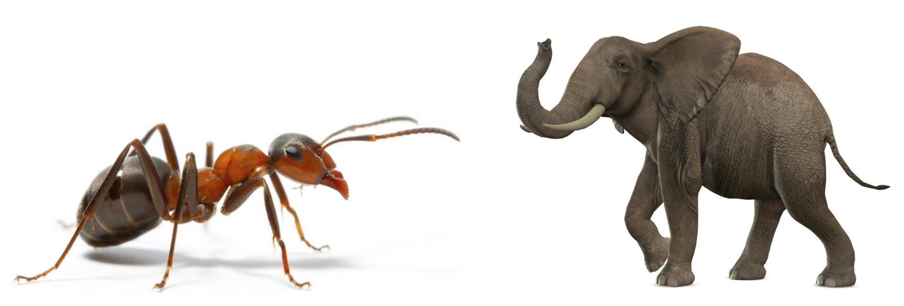 标度率本质,自然界基本守恒定律