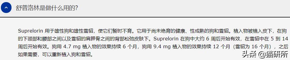 不开刀绝育手术,不打针不手术怎么让母猫绝育