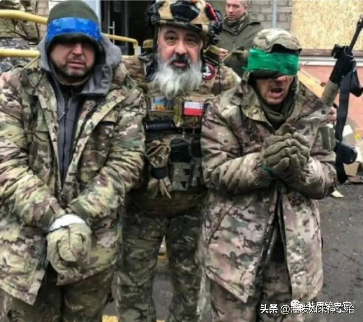 俄乌冲突德国参战最新消息,俄乌战争德国最新消息