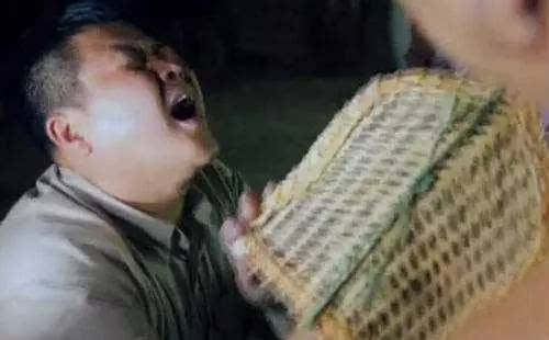 热带雨林十大危险动物蛇,亚马逊热带雨林最恐怖的蛇