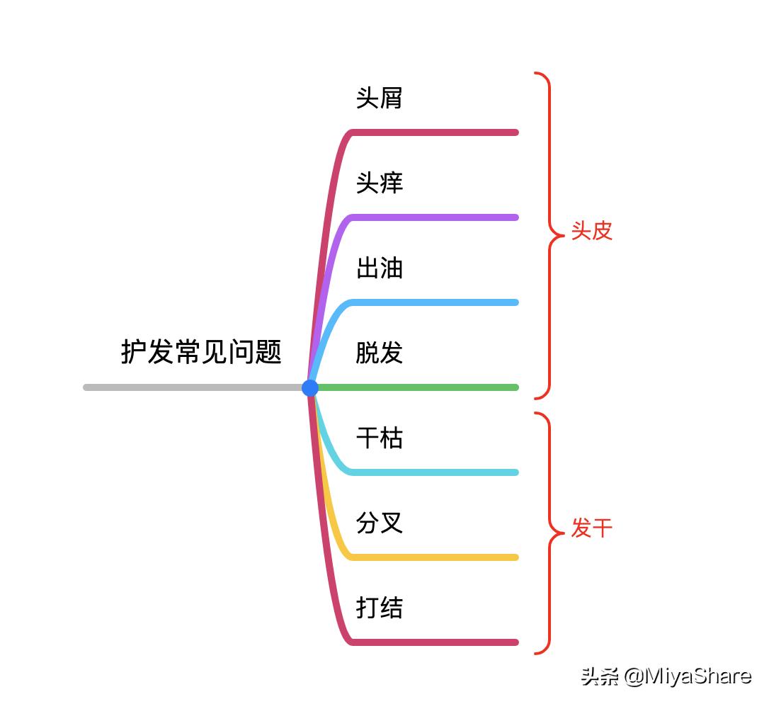养发护发解决各种头皮问题,头屑多脱发怎么去除小妙招