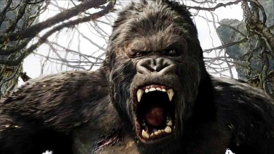 经典好莱坞金刚电影剪辑精彩片段,好莱坞电影金刚