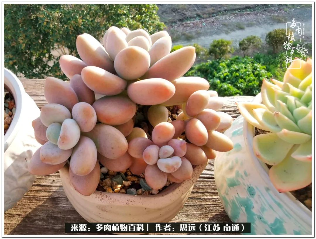 隔着时间的深爱，来自秋天的私语