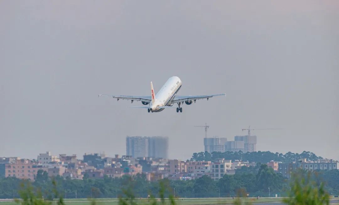 2022年已过半！7月起，这些新规将影响你我生活！