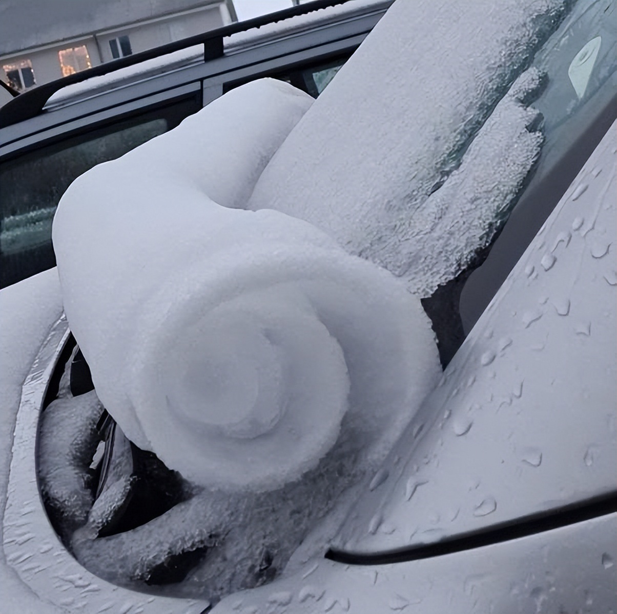 美丽的大自然的作文,美丽的大自然现代诗